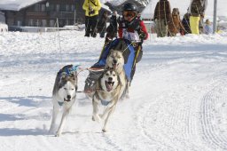 Lenk 2012 SM